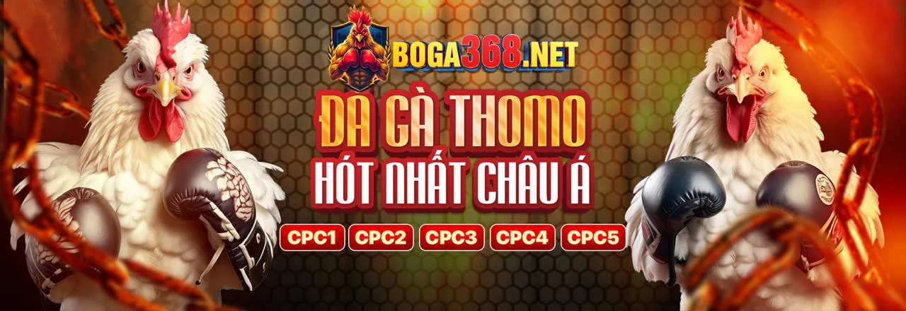 Sảnh Casino Trực Tuyến BK8vao Đầy Hấp Dẫn 2026